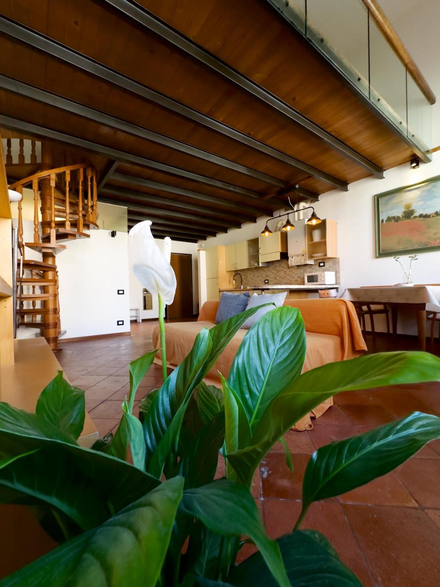Il Loft Di Charme Di Ricc Apartment Faenza Ngoại thất bức ảnh